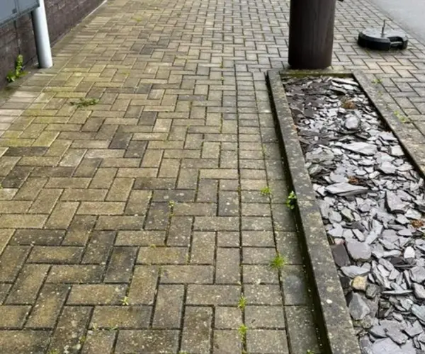 Allée avant nettoyage